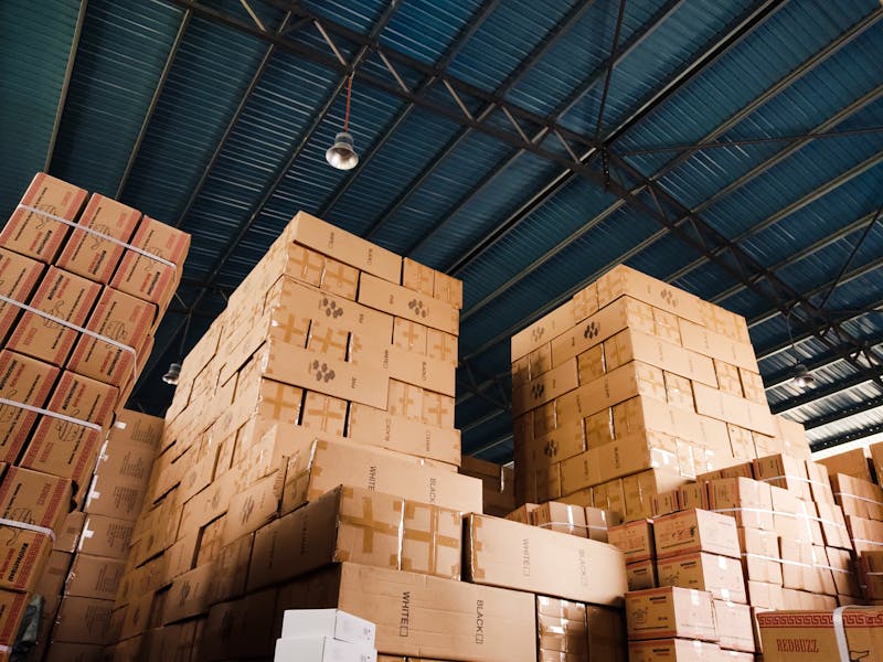 Best Mystery Box Companies Canada 2026 — Complete Comparison