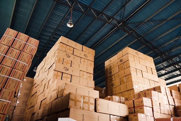 Best Mystery Box Companies Canada 2026 — Complete Comparison