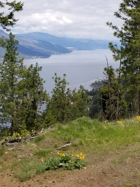 Mystery Box Kelowna: Buy Liquidation Boxes for Resellers in Kelowna, British Columbia