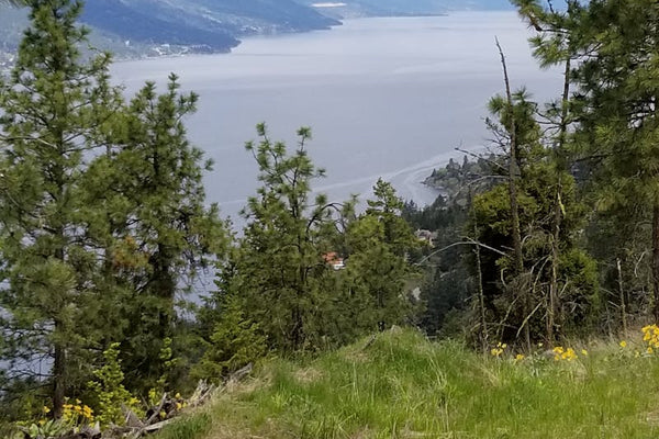 Mystery Box Kelowna: Buy Liquidation Boxes for Resellers in Kelowna, British Columbia