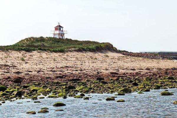 Mystery Box Charlottetown: Buy Liquidation Boxes for Resellers in Charlottetown, PEI