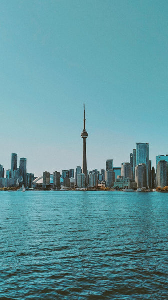 Mystery Box Toronto: Buy Liquidation Boxes for Resellers in Toronto, Ontario
