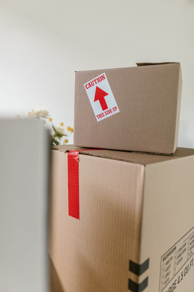 AmazeDeals vs Direct Liquidation Canada — Which is Better for Resellers?